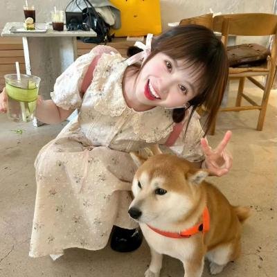 会长的贴身校花